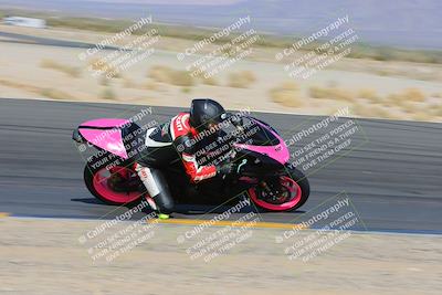 media/Feb-05-2023-SoCal Trackdays (Sun) [[b2340e6653]]/Turn 12 Inside (11am)/